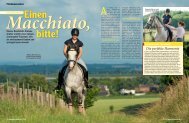 Macchiato - trakehner-sl