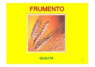 FRUMENTO - Di.Pro.Ve