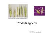 i prodotti agricoli - Studioiannizzotto.it