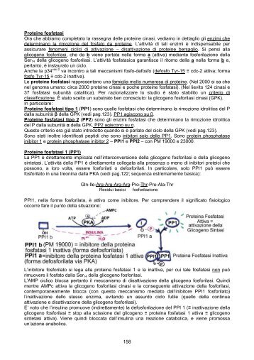 12 - Proteine fosfatasi pp 158-218.pdf - Corso di Laurea in Biologia