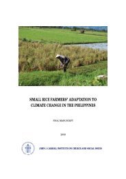 small rice farmers' adaptation to climate change in the philippines