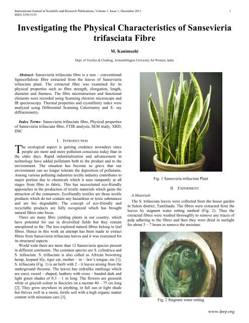 Investigating the Physical Characteristics of Sansevieria trifasciata ...