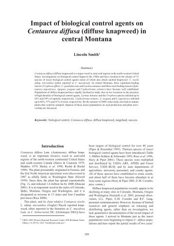 Impact of biological control agents on Centaurea diffusa - Invasive.org