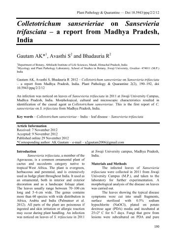 Colletotrichum sansevieriae on Sansevieria trifasciata – a report ...