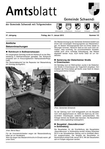 Ausgabe 1-2 vom 11.01.2013 - Schwendi