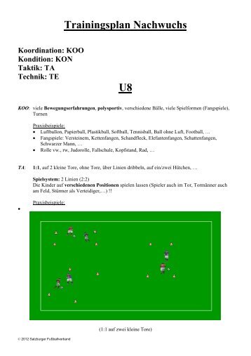 Trainingsplan Nachwuchs Endfassung - Salzburger Fussballverband