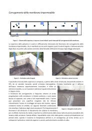 HW04 -Corrugamento della membrana impermeabile.pdf