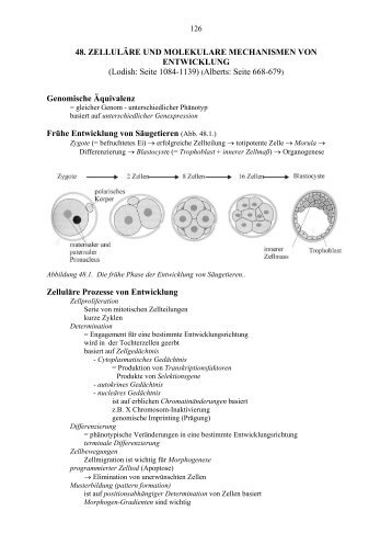 48. ZELLULÄRE UND MOLEKULARE MECHANISMEN VON ...