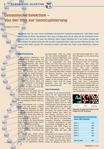 Genomische Selektion – Von der DNA zur Genotypisierung