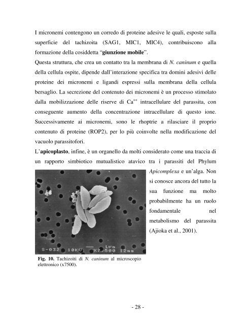 neospora caninum - Ordinevetverona.it