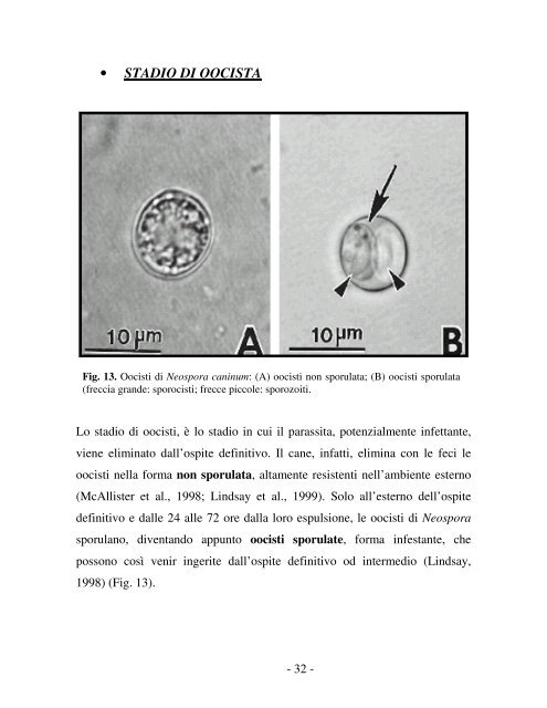 neospora caninum - Ordinevetverona.it