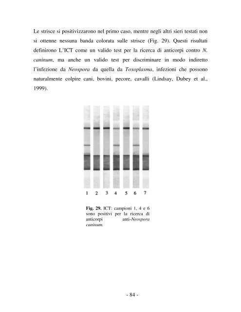 neospora caninum - Ordinevetverona.it