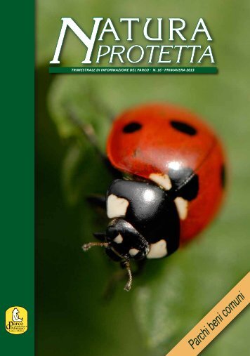 Sfoglia on-line - Parco Nazionale d'Abruzzo Lazio e Molise