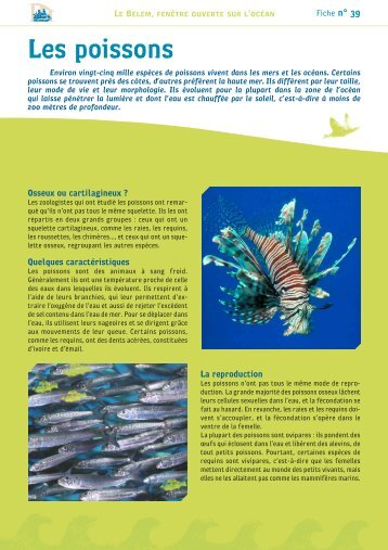 39 Les poissons - Editions Belize