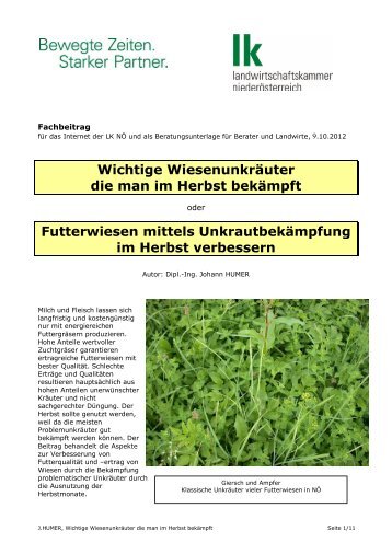 Wichtige Wiesenunkräuter die man im Herbst bekämpft