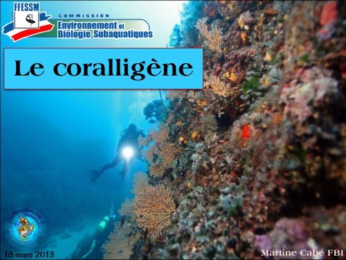 Le coralligène - Hippocampe Club de Massy