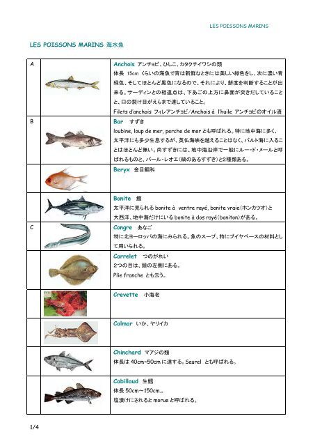 Les Poissons Marins 海水魚 Bonite 鰹 Crevette 小海老