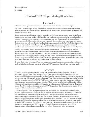 Dna Fingerprinting & Paternity Worksheet Answer Key + My ...