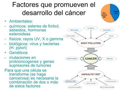 Ciclo celular y cáncer - Genética y Biología Molecular