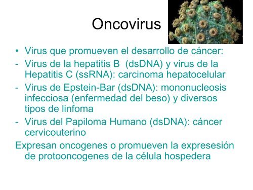 Ciclo celular y cáncer - Genética y Biología Molecular