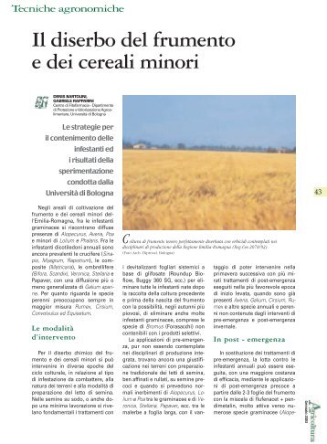 Il diserbo del frumento e dei cereali minori ( PDF ... - Ermes Agricoltura