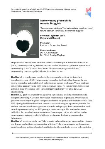 Samenvatting proefschrift Annette Bruggink - Nederlandse ...