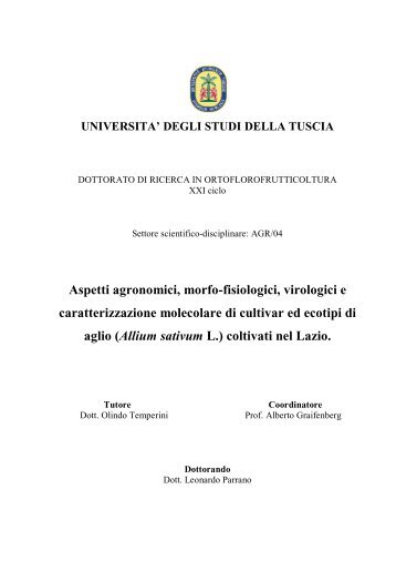 b - Unitus DSpace - Università degli Studi della Tuscia