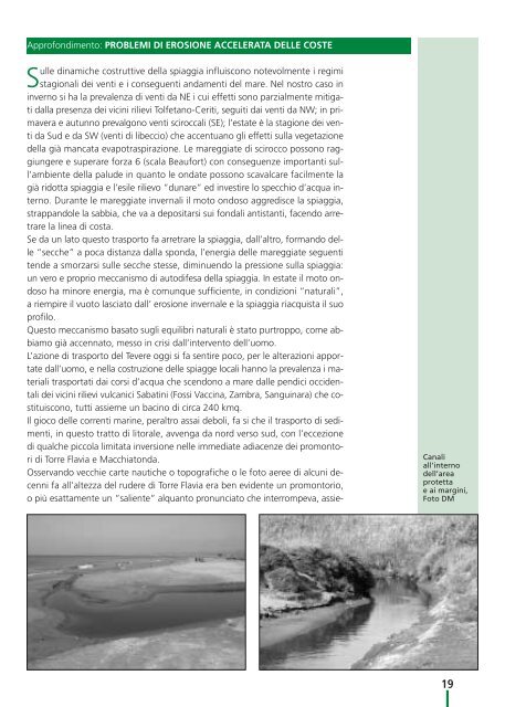 il monumento naturale palude di torre flavia, un ... - WWF Italia