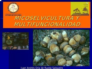 micoselvicultura y multifuncionalidad de los bosques - Micosylva