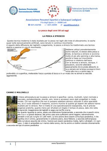 La pesca a striscio - Associazione dei pescatori sportivi e subacquei ...