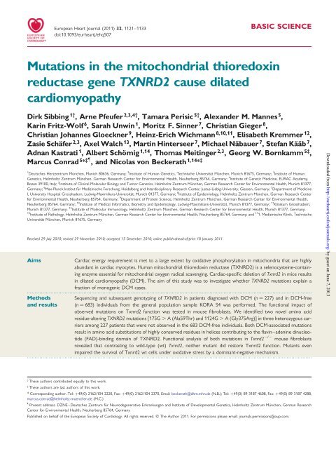 Mutations in the mitochondrial thioredoxin reductase gene TXNRD2 ...