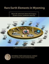 rare earth elements in Wyoming