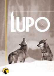 Il ritorno del Lupo - Parco Nazionale Gran Paradiso