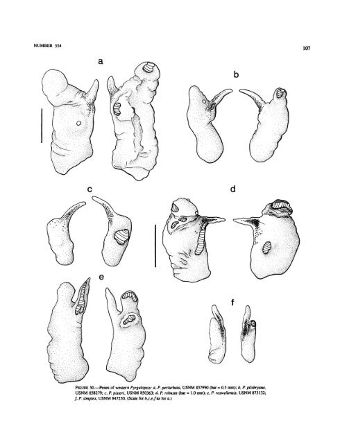 A Review of the North American Freshwater Snail Genus Pyrgulopsis