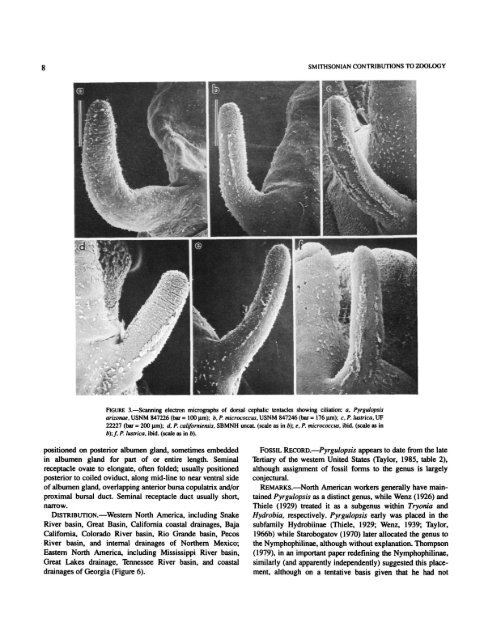 A Review of the North American Freshwater Snail Genus Pyrgulopsis