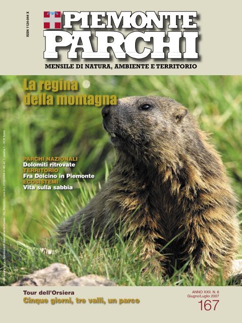 download rivista PDF - Regione Piemonte