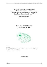 PIANO D'AZIONE ACTION PLAN - Franco Andreone