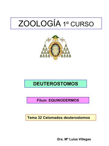 32 - Celomados Deuteróstomos. Equinodermos.