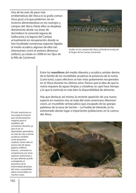 descargar en PDF - Centro de Estudios del Jiloca