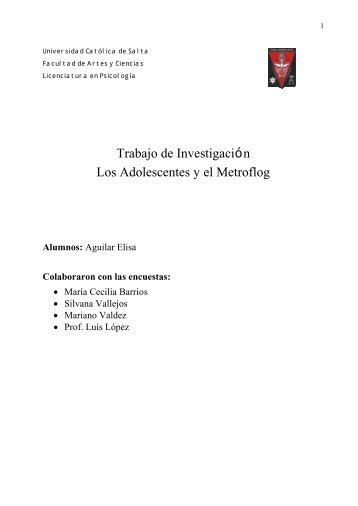 Trabajo de Investigación Los Adolescentes y el Metroflog