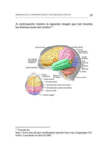 aproximación a la neuropsicología - ieRed