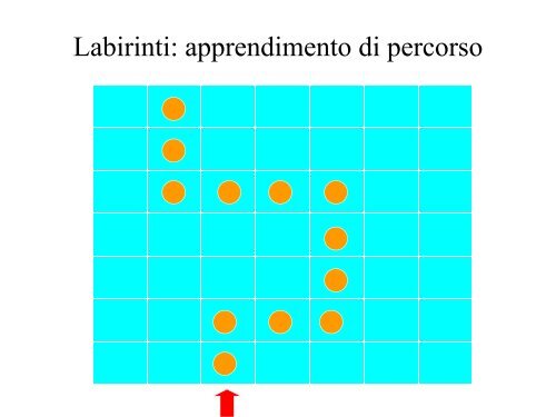 Sindrome prefrontale dorsolaterale (tipo ... - SognoPsicologia