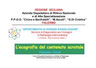 Imaging del contenuto scrotale - Vincenzoalessiradiologia.It