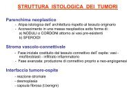 Stuttura istologica e metabolismo tumori