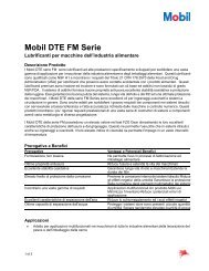 Mobil DTE Serie 20 - Gruppo Benassi