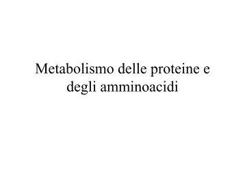 2 Metabolismo proteine e amminoacidi.pdf