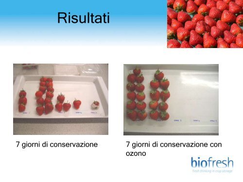 clicca per visualizzare la presentazione - FreshPlaza