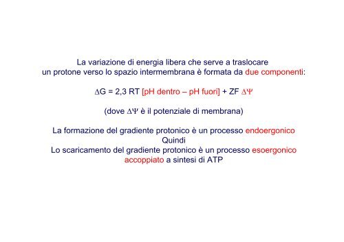 Fosforilazione ossidativa