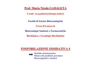 Trasporto di H+ - Biotecnologie