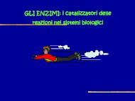 9° Lezione - Enzimi e cinetica - Scuola1024